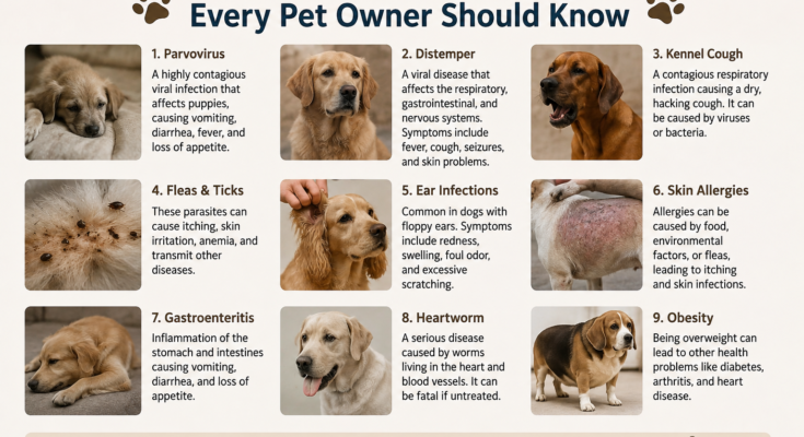 Common Diseases in Dogs Every Pet Owner Should Know