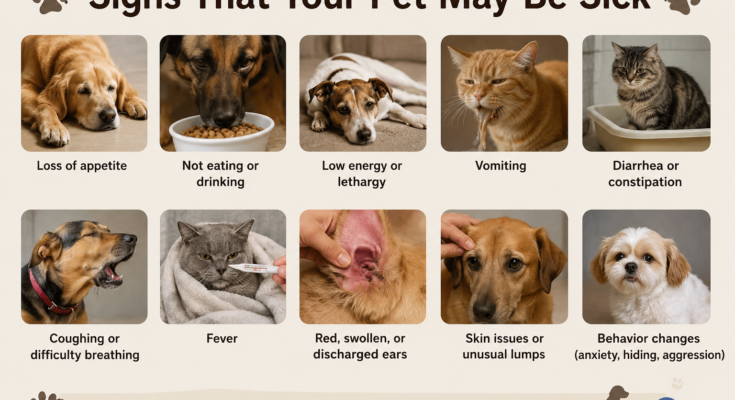 Signs That Your Pet May Be Sick