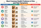 Most Common Health Problems in Pets and Their Symptoms