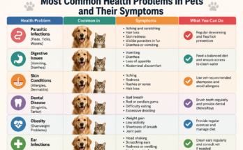 Most Common Health Problems in Pets and Their Symptoms