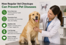 How Regular Vet Checkups Can Prevent Pet Diseases