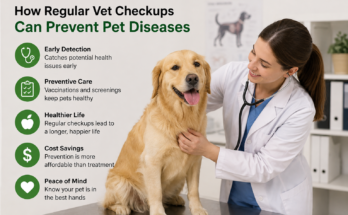 How Regular Vet Checkups Can Prevent Pet Diseases