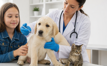 Why Vaccinations Are Important for Dogs and Cats