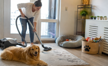 How to Keep Your Home Clean to Prevent Pet Diseases